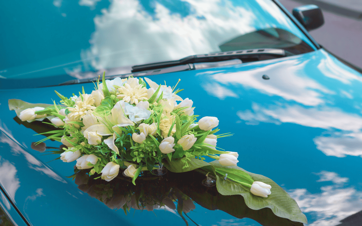 Özel Taşımacılık Organizasyonları