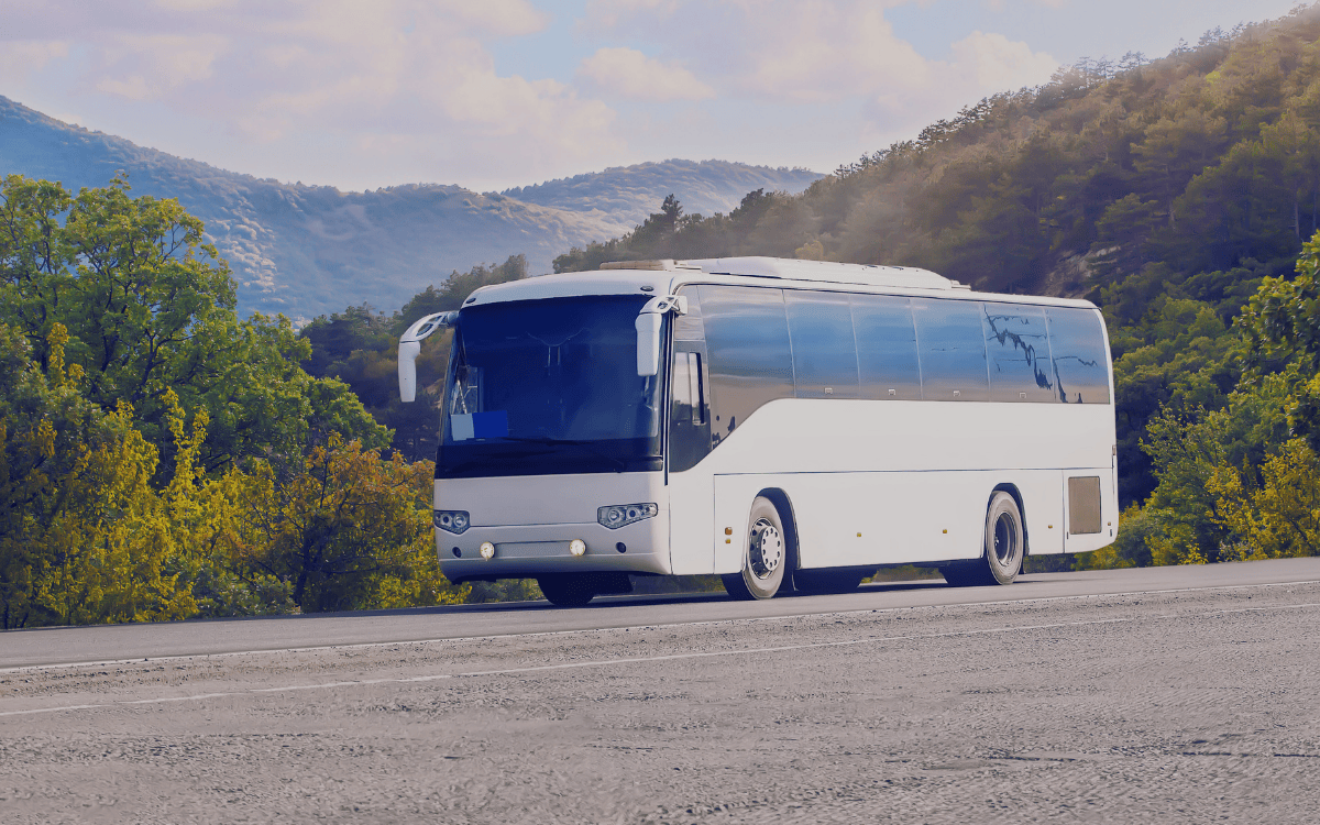 Turizm Organizasyonları